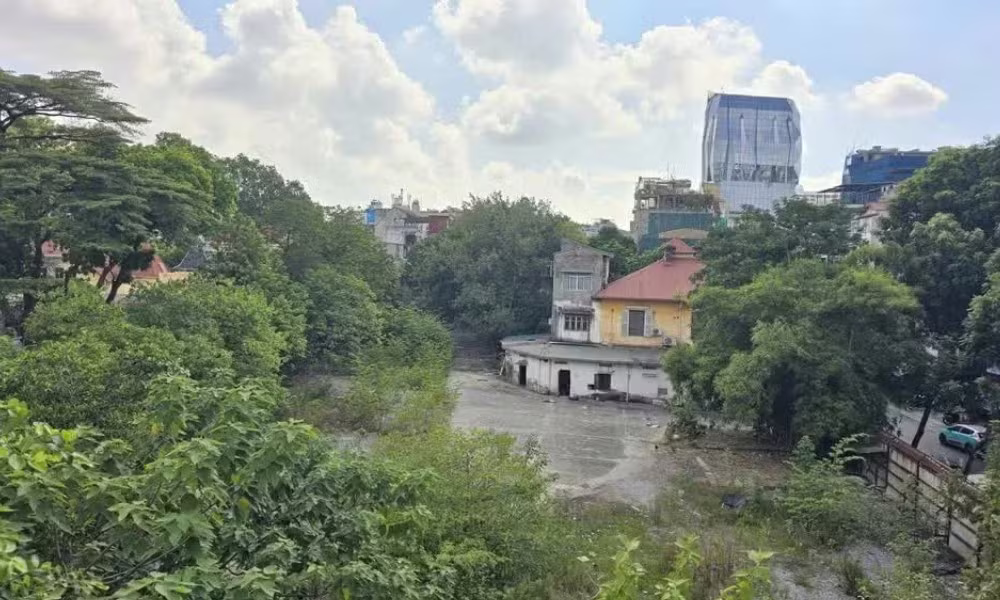 đấu gi&aacute; ảnh 1