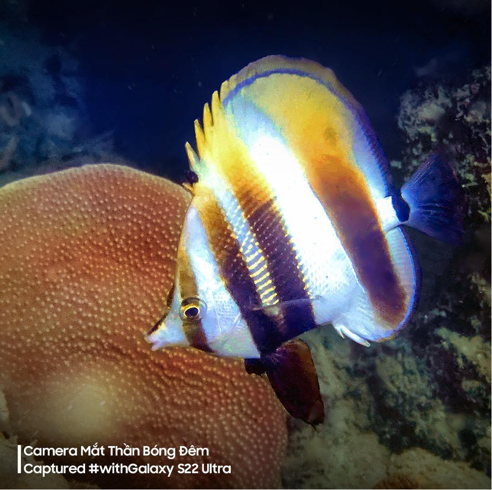 giá S22 ảnh 6 gia S22 anh 6