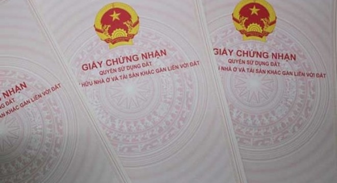 Ha Noi chua bat tan tay vu 'chay' so do nao hinh anh