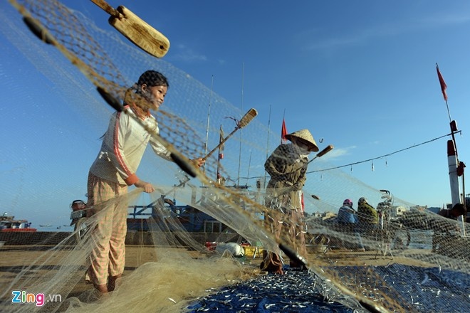 Nhieu uu dai cho huyen dao Ly Son hinh anh