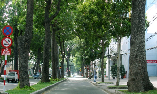 TP.HCM yeu cau lam du an phai tinh den cay xanh hinh anh