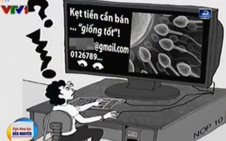 VTV: Rao ban tinh trung tren mang hinh anh