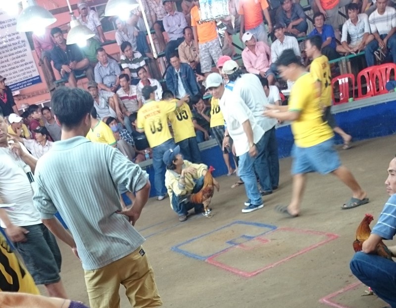 Hai chủ gà ôm gà chờ “biện” ra kèo với con bạc.