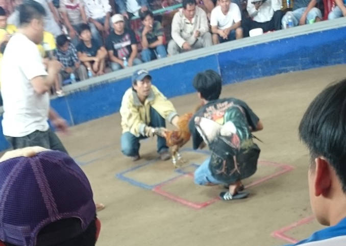 Hang tram con bac vuot bien tung tien vao tran da ga 30 giay hinh anh