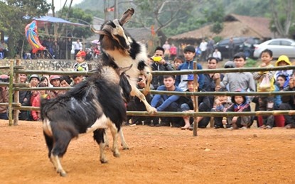 Hoi choi de co mot khong hai dip dau nam hinh anh