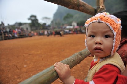 Hội chọi dê không chỉ thu hút người lớn mà trẻ con trong gia đình cũng ra sân cổ vũ.