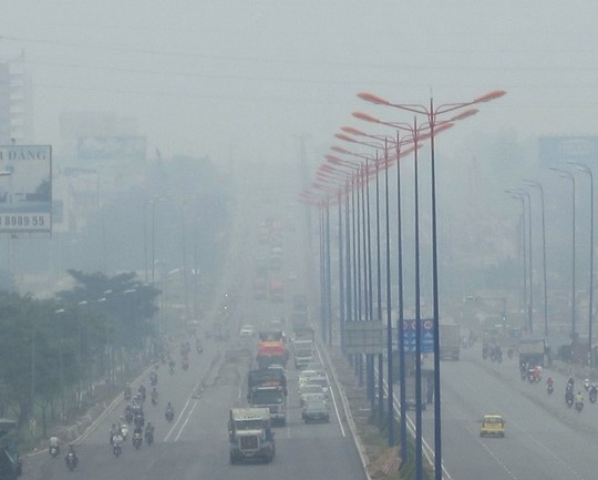 TP HCM mu suong, lanh nhu dau dong mien Bac hinh anh