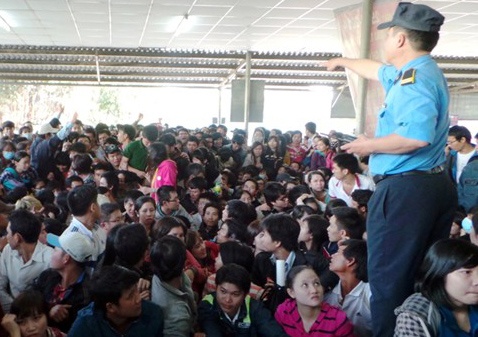 Yeu cau hang xe Phuong Trang cong bo ke hoach phuc vu Tet hinh anh