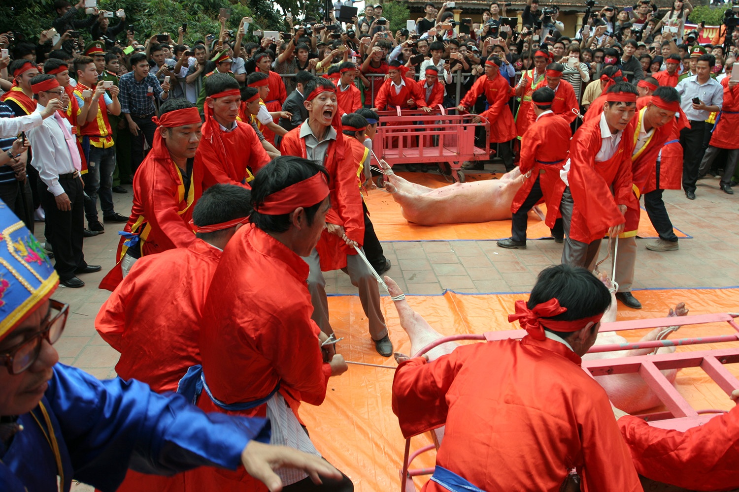 Sáng mùng 6 Tết, người dân làng Ném Thượng (Bắc Ninh) vẫn thực hiện nghi lễ truyền thống chém lợn giữa sân đình như mọi năm. Ảnh: Lê Hiếu