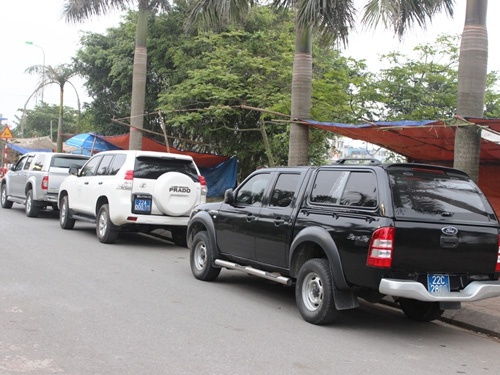 Xe bien xanh 'ru nhau' tray hoi Den Tran hinh anh