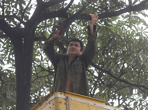 Vu chat 6.700 cay co dau hieu vi pham Luat thu do hinh anh