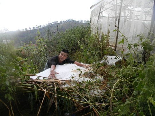 Mua da, loc xoay tan pha Da Lat hinh anh