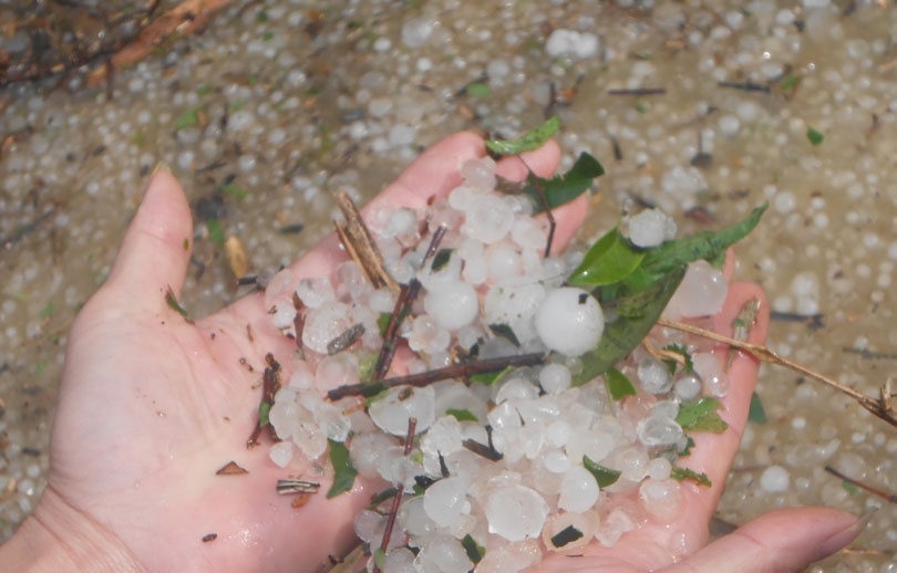 Co quan khi tuong canh bao mua da o Nam Bo hinh anh