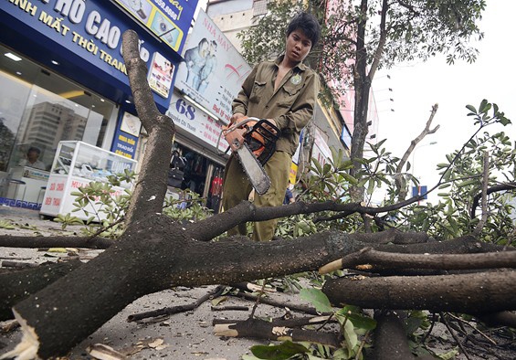 Kien nghi kiem diem lanh dao Ha Noi ve vu chat cay hinh anh