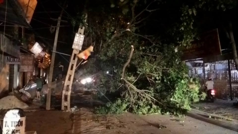 Ha Noi co mua dong, gio giat hinh anh