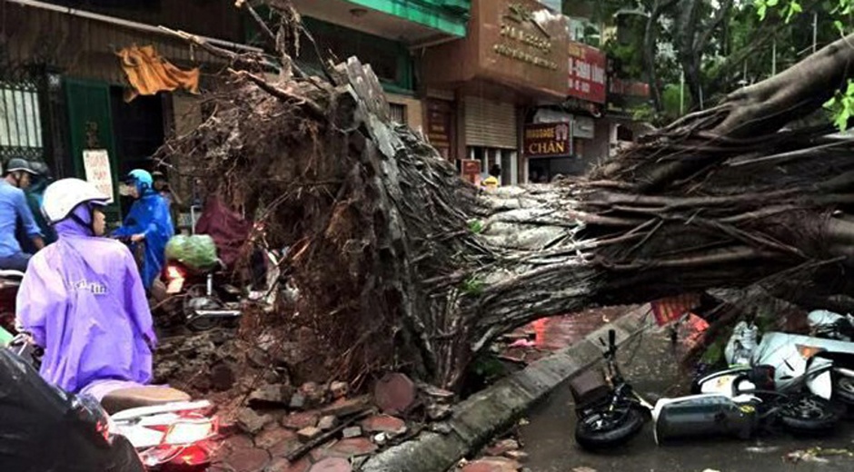 Vi sao Ha Noi tan hoang sau con dong 30 phut? hinh anh