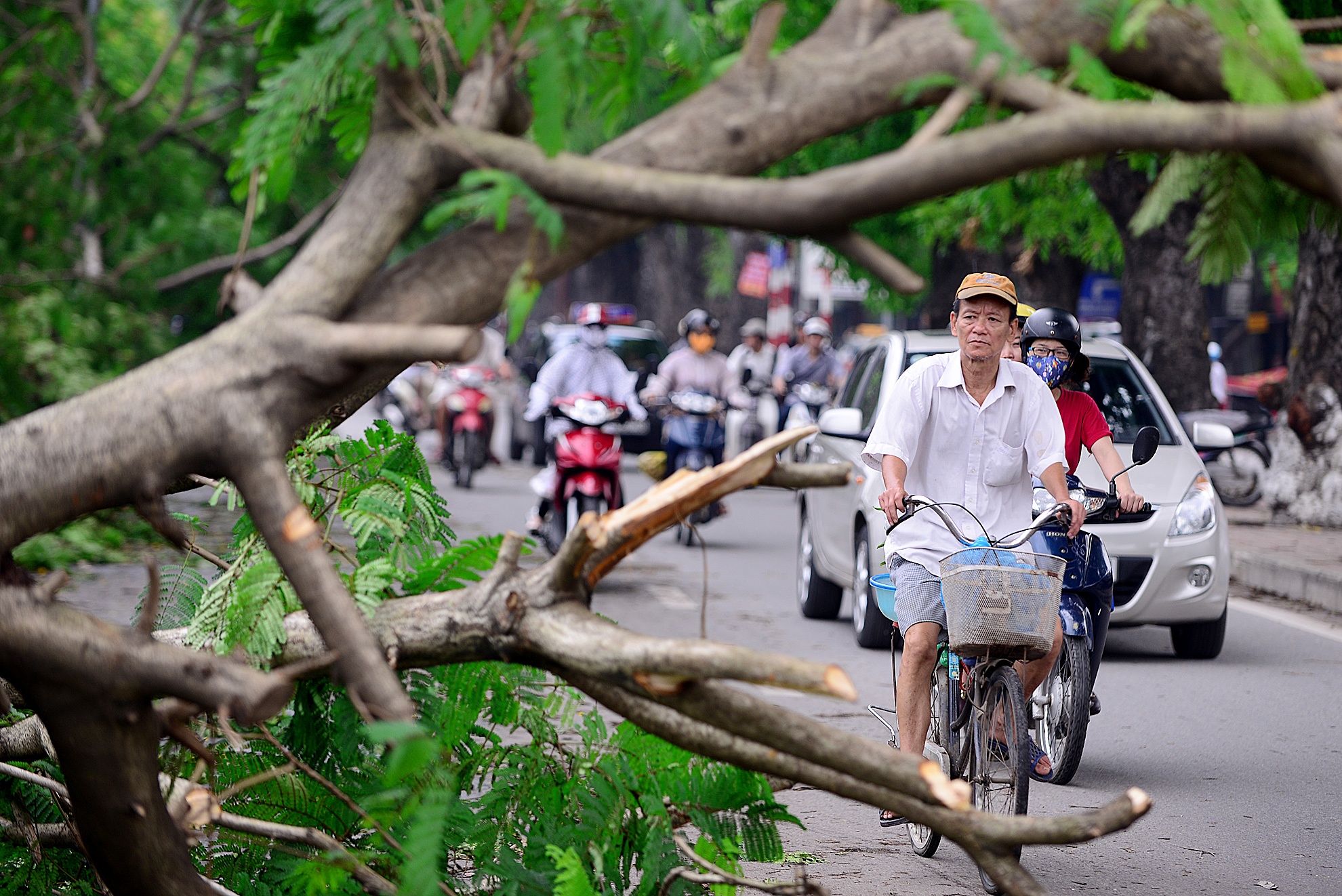 Canh bao to loc, gio giat chieu 14/6 hinh anh