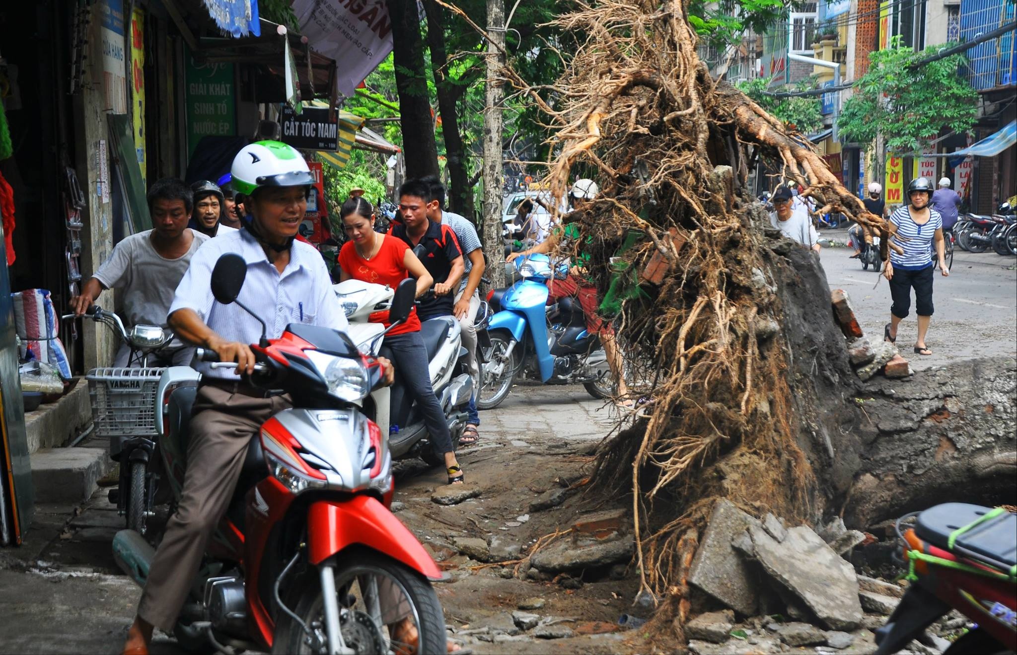 1.300 cay xanh gay do sau 30 phut dong loc hinh anh