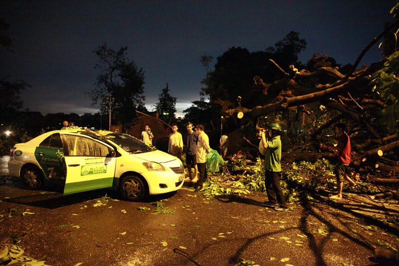 Hiện trường vụ đổ cây tại ngã tư Quang Trung – Nguyễn Du khiến 1 người tử vong. Ảnh: Nhị Tiến