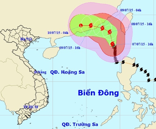 Bao Linfa tang cap, doi huong hinh anh