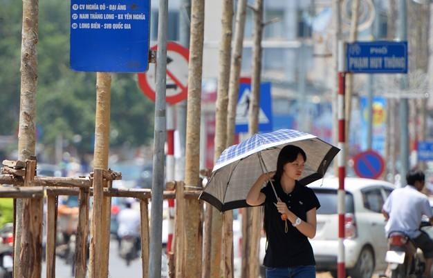 Thu tuong: 'Thong tin lai day du ve de an thay the cay xanh' hinh anh