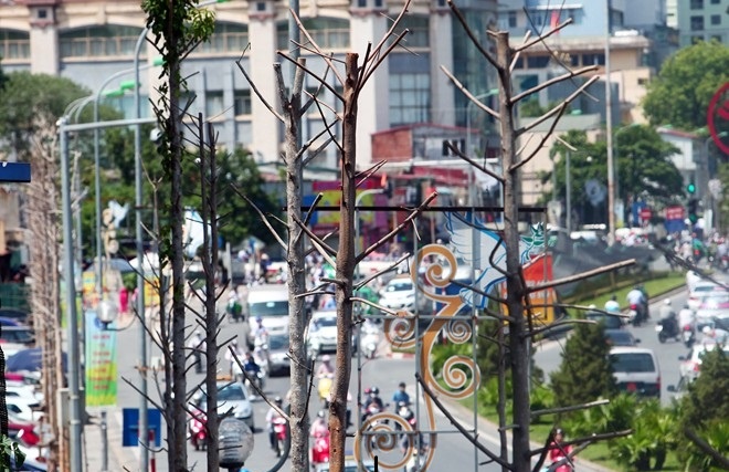 Cong an Ha Noi gop tien thay cay duong Nguyen Chi Thanh hinh anh