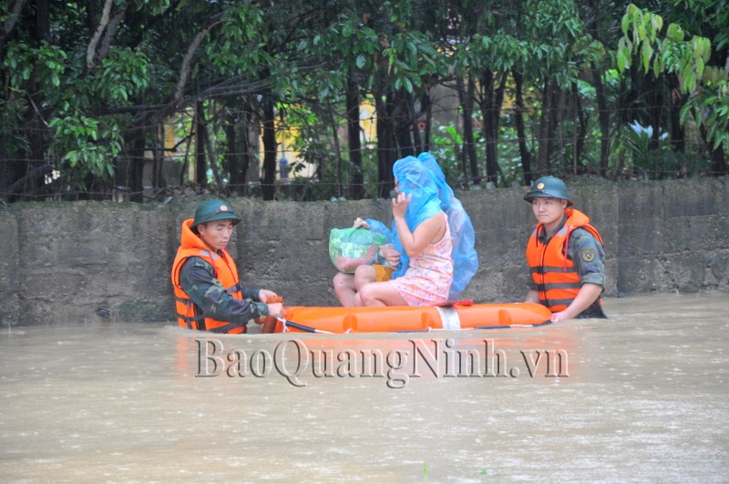 Các chiến sĩ Sư đoàn 395 (Quân khu 3) trực tiếp đi đến từng hộ dân hỗ trợ di dời. Ảnh: Báo Quảng Ninh.
