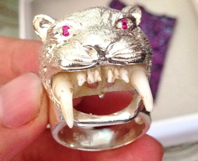 Nhan nhan chao ban da, xuong dong vat quy hiem hinh anh