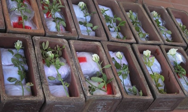 Le chon cat hang tram thai nhi xau so hinh anh