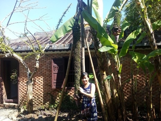 Buong chuoi hang tram nai tro trong nua nam hinh anh