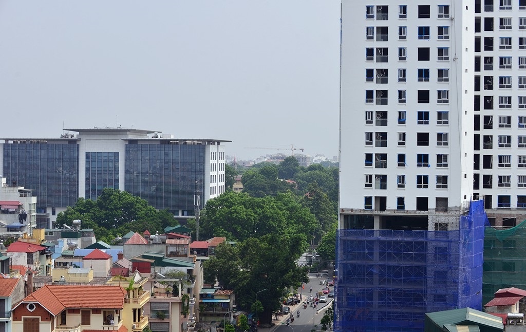 Bi thu Ha Noi noi ve toa nha 17 tang gan Lang Bac hinh anh