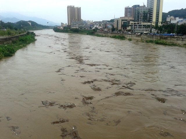 Lũ lên cao, củi rác trôi lềnh bềnh trên sông Hồng (đoạn chảy qua TP Lào Cai) .