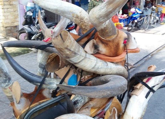 Ro ban dau linh duong de... tru ta hinh anh