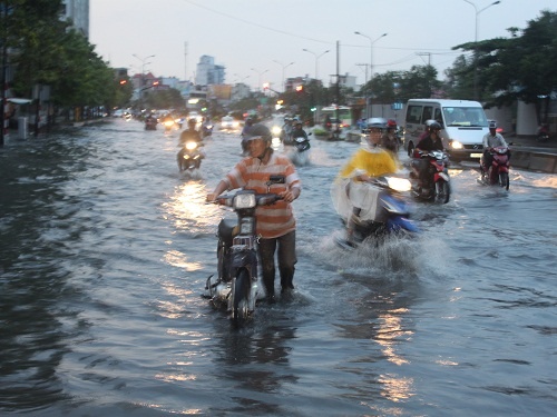 Moi nguoi phai dong quy phong, chong thien tai hinh anh