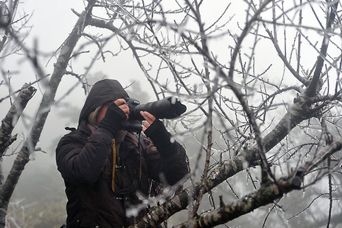 Sa Pa ret 3 do C hinh anh