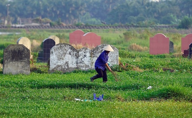 Ha Noi kiem tra rau muong trong o nghia dia hinh anh