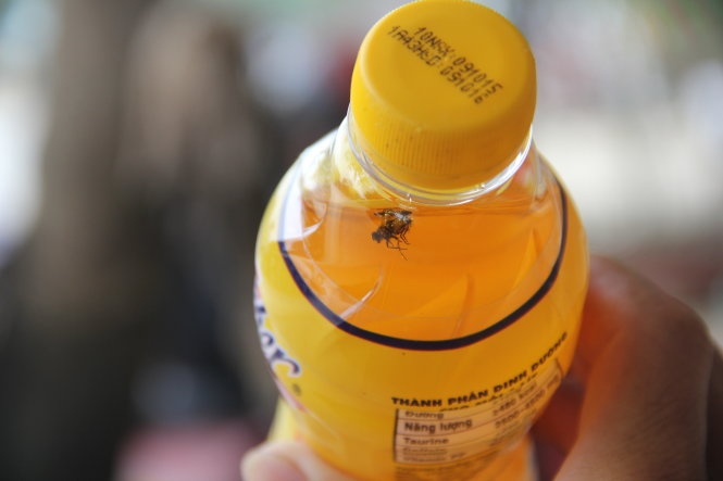 ​Nguoi dan mua phai chai nuoc Number One co ruoi hinh anh