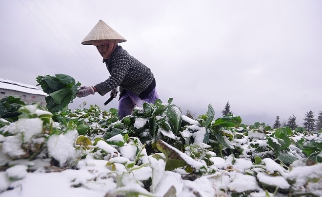 Thu tuong chi dao phong chong dot ret dam ky luc hinh anh