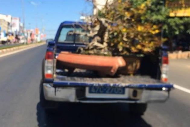 Yeu cau bao cao vu 'xe cong an cho qua Tet chay au' hinh anh