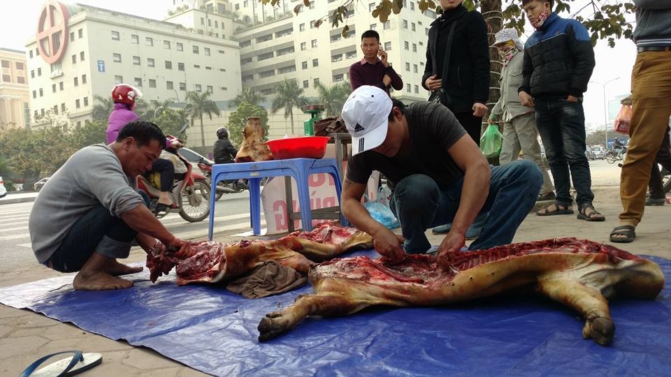 Mo lon rung ngay tren via he Ha Noi hinh anh