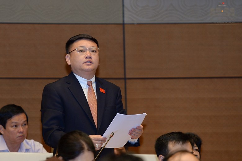 dai bieu Quoc hoi anh 1