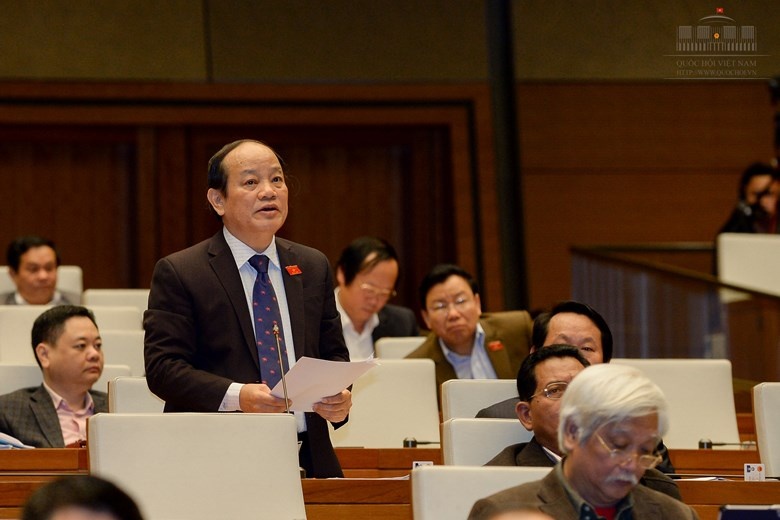 dai bieu Quoc hoi anh 3