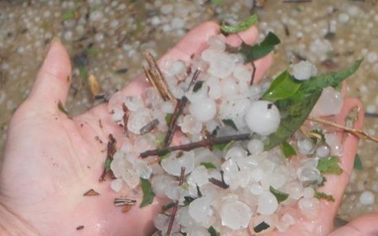 Canh bao mua da o Bac Bo hinh anh