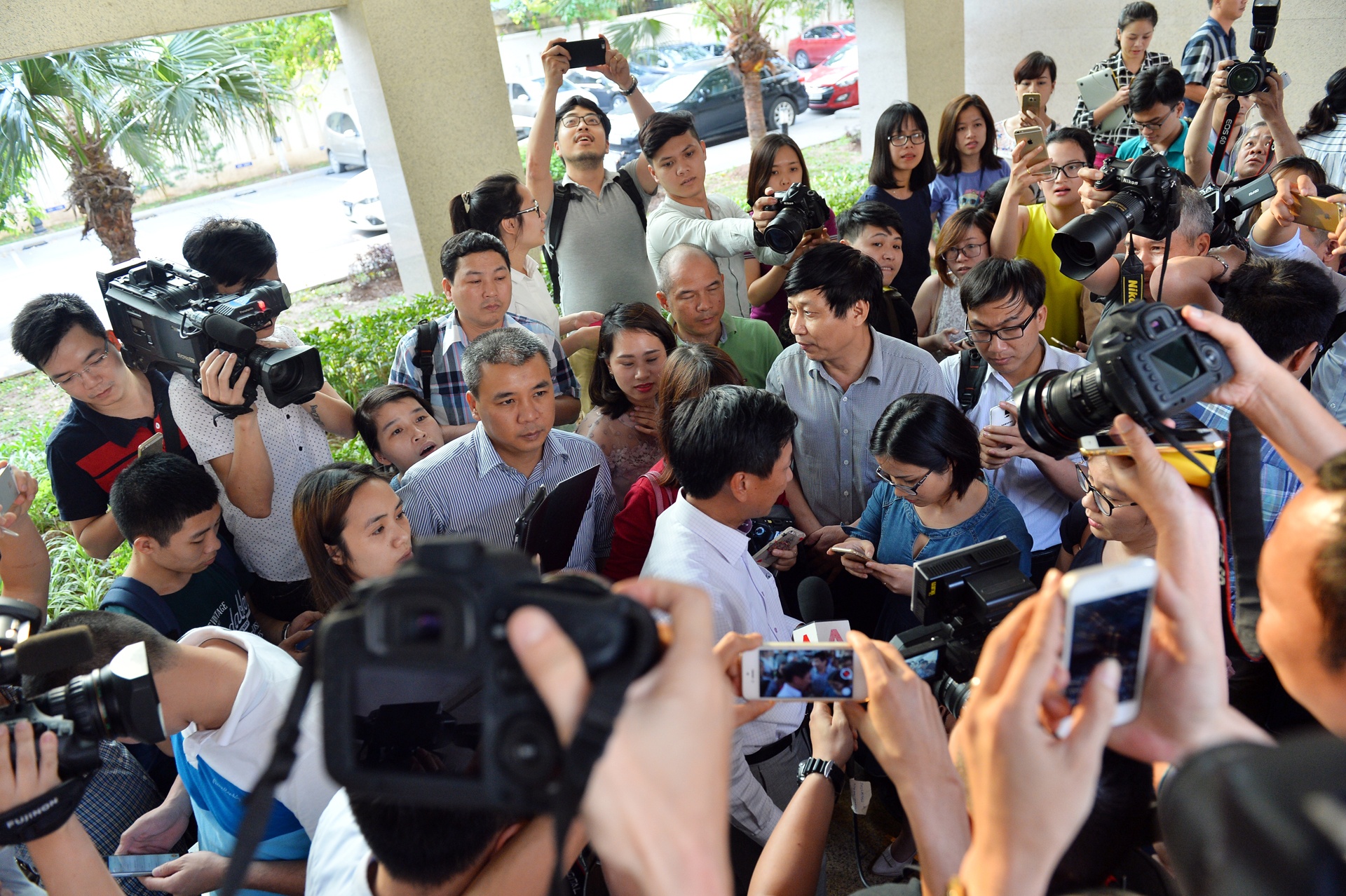 19h hom nay, hop bao ve vu ca chet hang loat tai mien Trung hinh anh