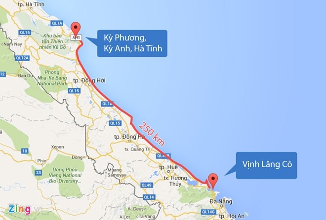 cá chết hàng loạt tại miền Trung ảnh 2 ca chet hang loat tai mien Trung anh 2