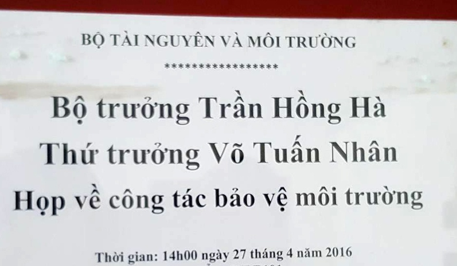 cá chết hàng loạt tại miền Trung ảnh 1 ca chet hang loat tai mien Trung anh 1
