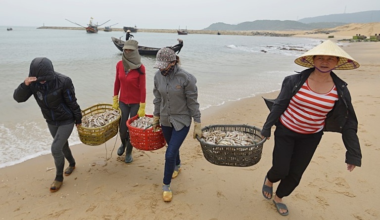 Vu ca chet: Xu nghiem neu do con nguoi gay ra hinh anh