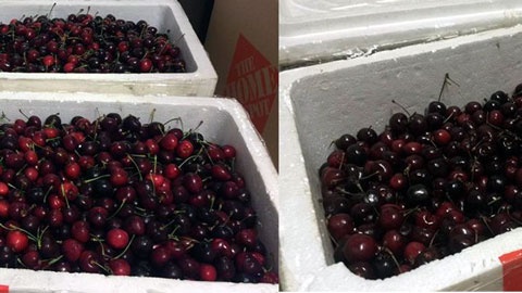 Cang hang khong Noi Bai anh 1