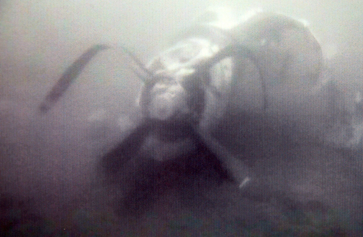 Tim thay 2 thi the cung manh vo va dong co CASA-212 hinh anh