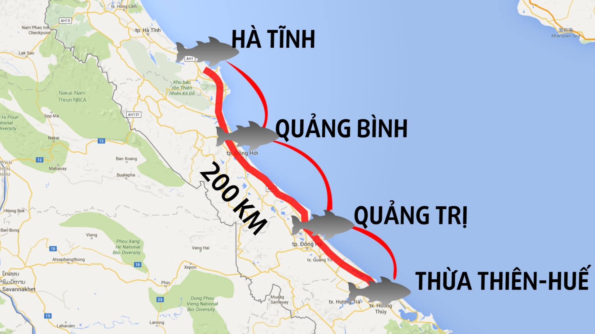 Toan canh vu ca chet hang loat tai mien Trung hinh anh